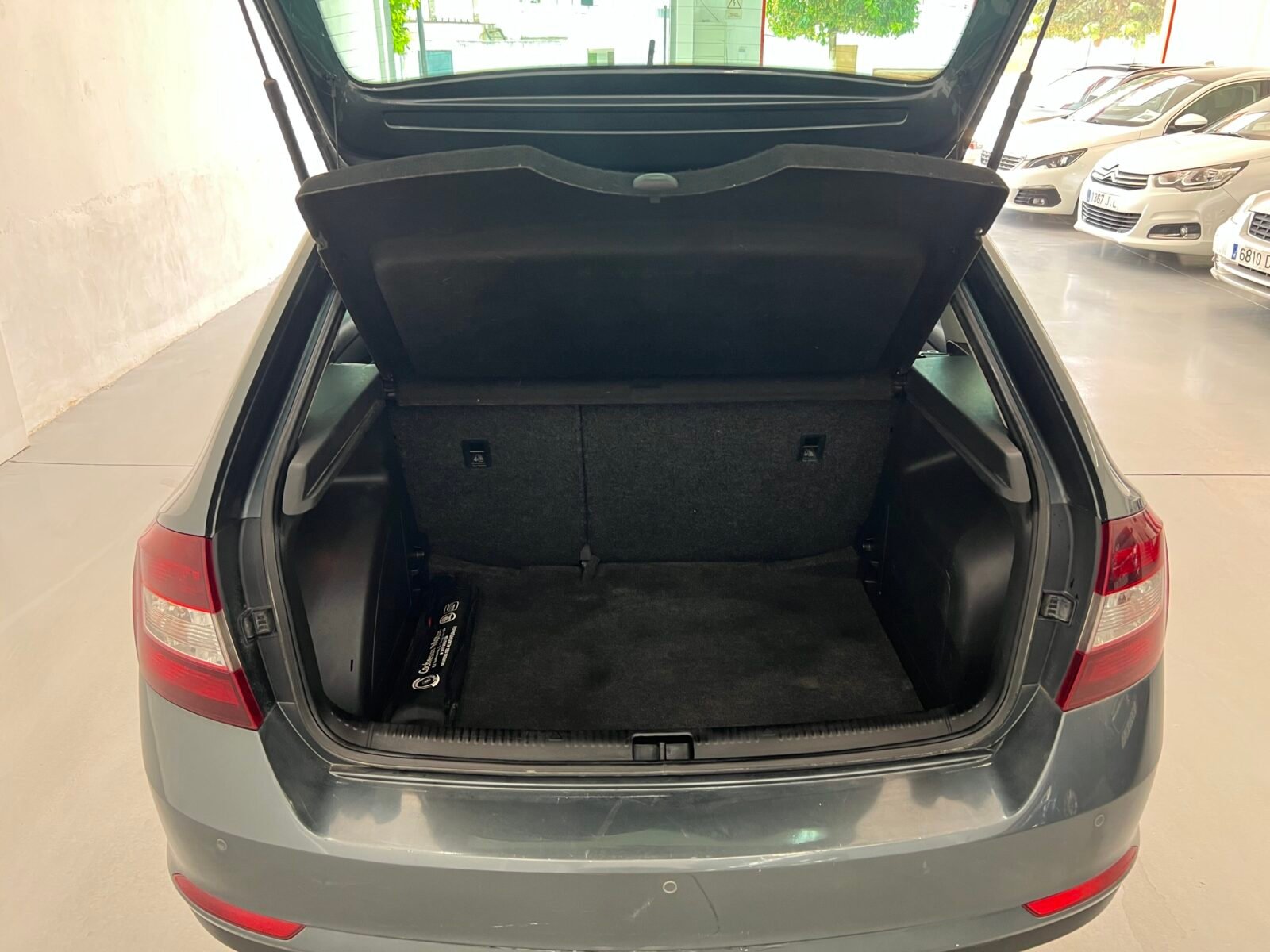 SKODA Spaceback 1.4 TDI 90cv